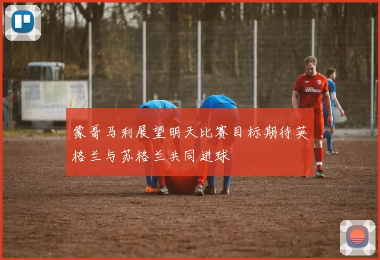 蒙哥马利展望明天比赛目标期待英格兰与苏格兰共同进球
