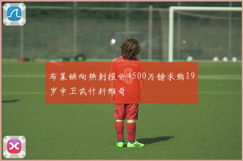 布莱顿向热刺报价4500万镑求购19岁中卫武什科维奇