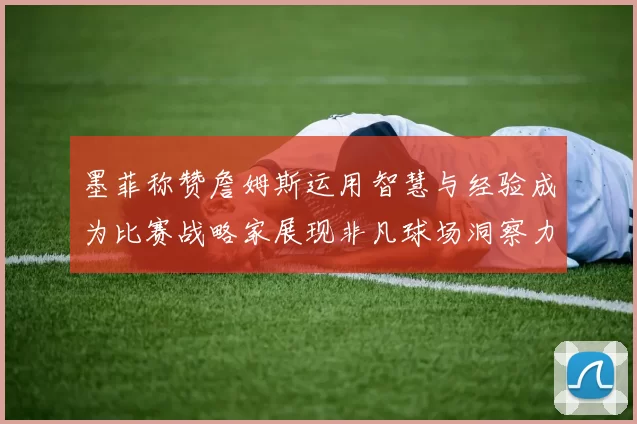 墨菲称赞詹姆斯运用智慧与经验成为比赛战略家展现非凡球场洞察力